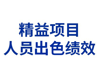 精益項(xiàng)目——人員優(yōu)質(zhì)績(jī)效（人為差錯(cuò)）